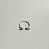 Ring #25