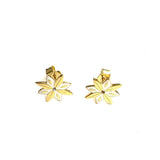 Earrings - #109