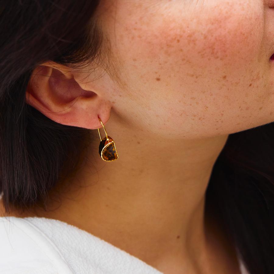 Boucles d'oreilles - Météore Léopard