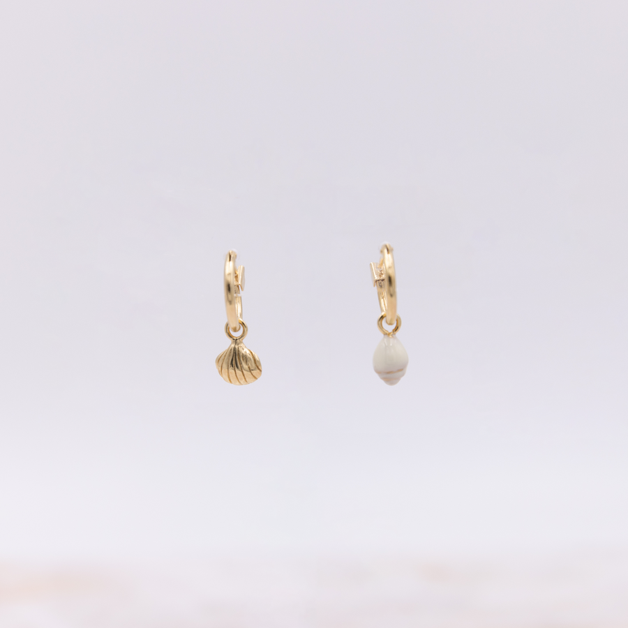 Mini Créoles Coquillage Trésors de Plage